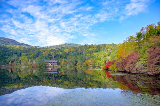 向かいに見える建物は白駒荘です
