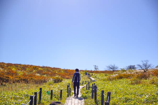 周回コースで霧ヶ峰の魅力を満喫できる