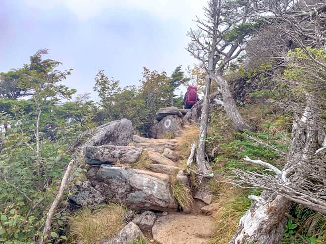 岩にペイントされた〇印を頼りに岩場を登っていけば山頂