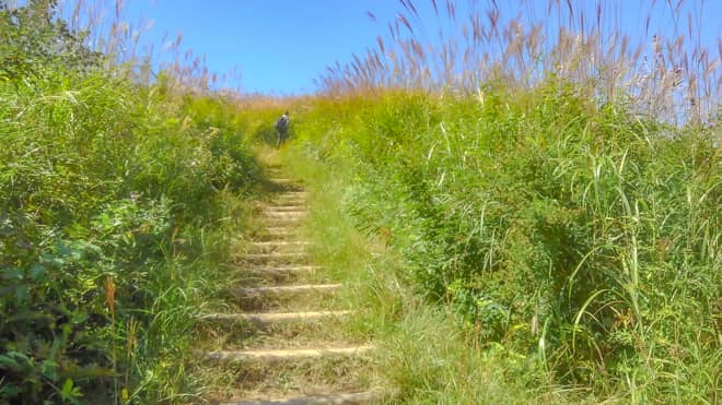 秋を感じる山旅へ 花ススキが美しい 岩湧山 を登山レポートします キャンプクエスト