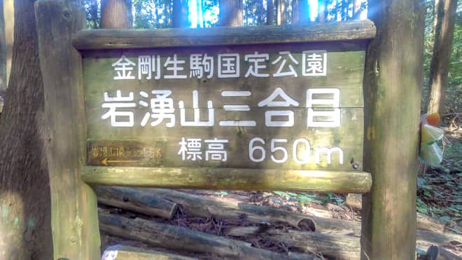 秋を感じる山旅へ 花ススキが美しい 岩湧山 を登山レポートします キャンプクエスト