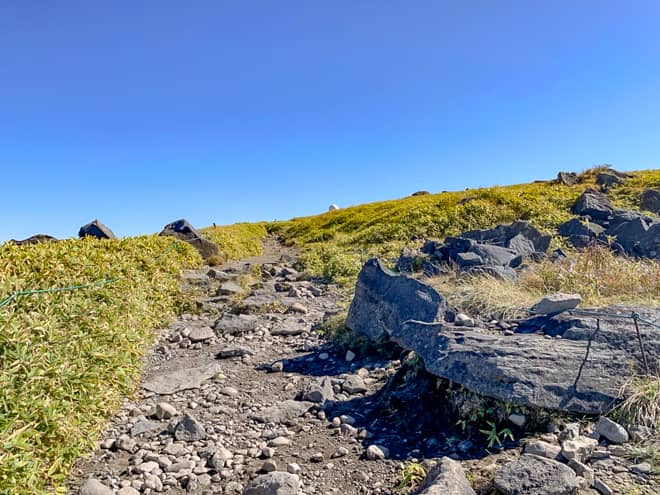 景色に見惚れながら歩いていると