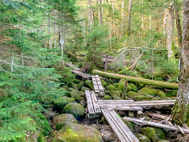 暫くは木道が続きますが、岩だらけの坂になってきました