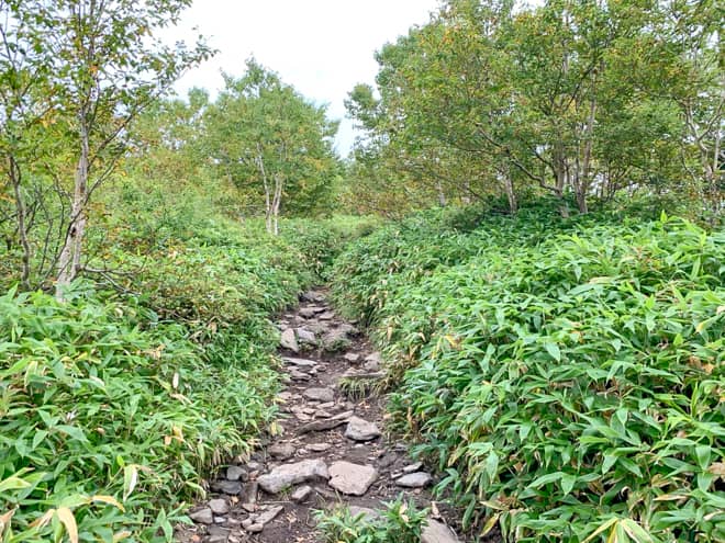 森林限界を抜け2つ目の標識を目指す