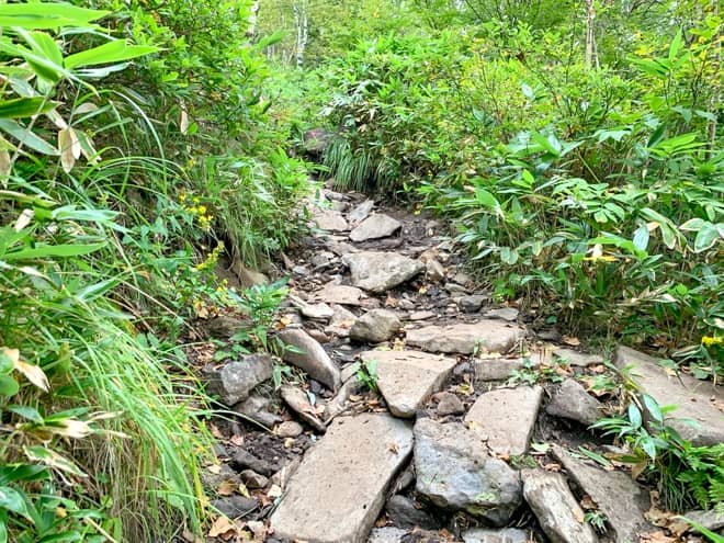 段々と岩の露出が激しくなり、足に負担がかかります