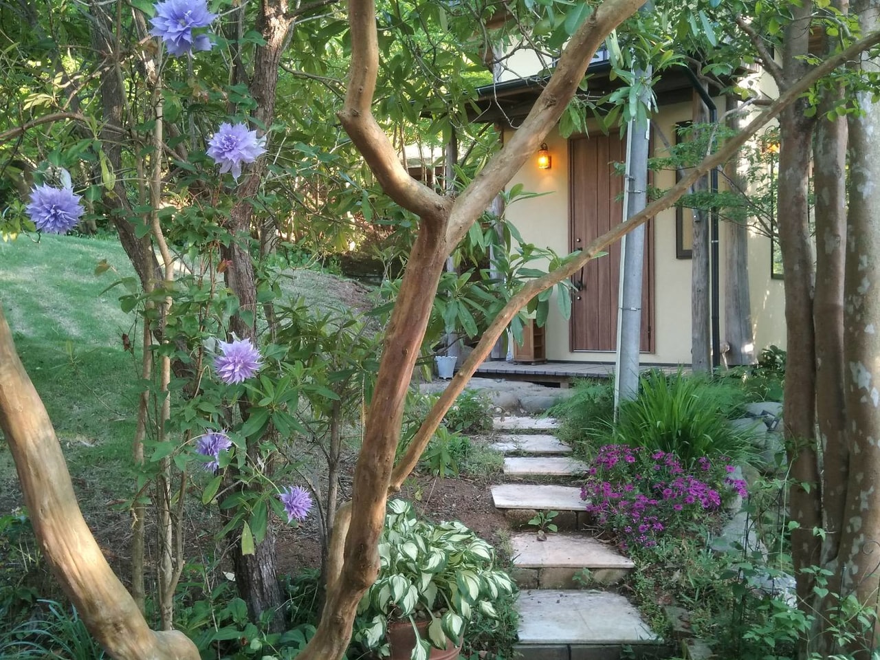 癒しの森の貸別荘スターヒルズ_8