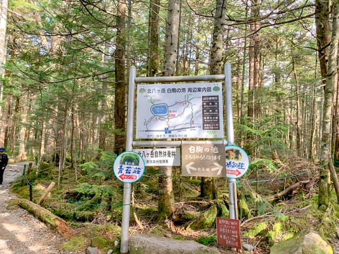 白駒の森→青苔荘