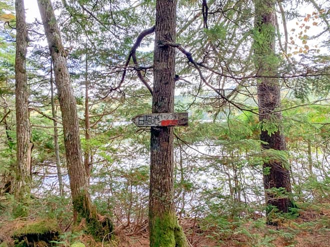 白駒池の周回コースを経て、白駒荘を目指します