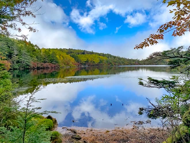 白駒池を訪れたのは10月初旬でしたが、少しだけ紅葉していました