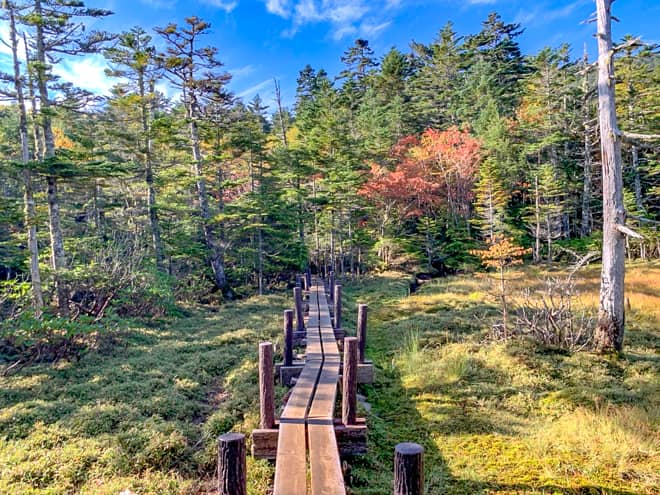 白駒湿原→にゅうの森