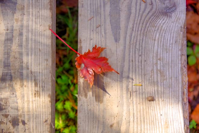 紅葉シーズンは物凄く渋滞する