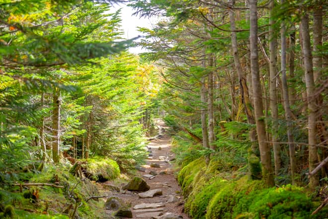 見どころが多すぎて困る