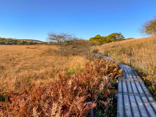 霧ヶ峰は八ヶ岳中信高原国定公園内にある