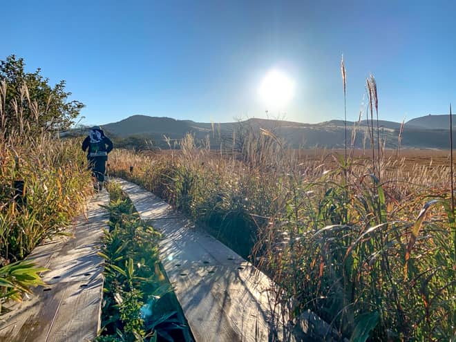霧ヶ峰を周回できるトレッキングコースです