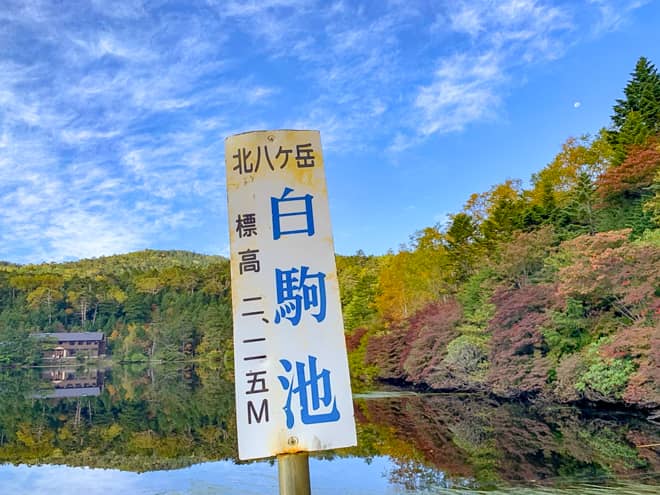 青苔荘→白駒池