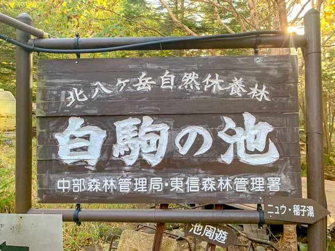 青苔荘からは白駒の池の絶景スポットまで徒歩30秒