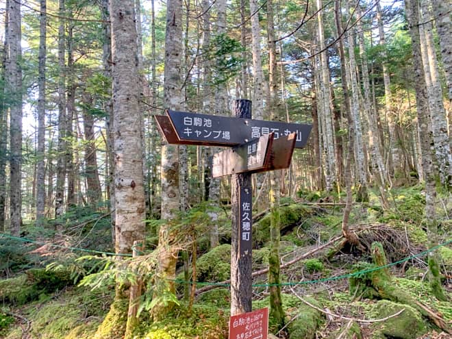 高見石を直接目指す方は更に右へ進みます