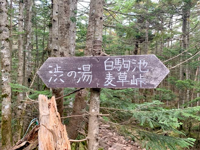 高見石展望台→カモシカの森