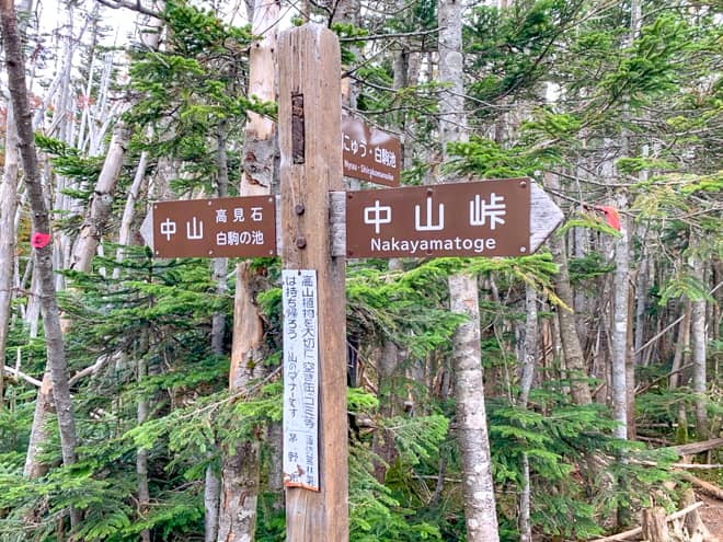 1キロ弱登り続けると標識が見えてきます