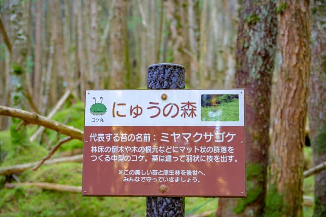 30分程度歩くと、にゅうの森の標識に到着します