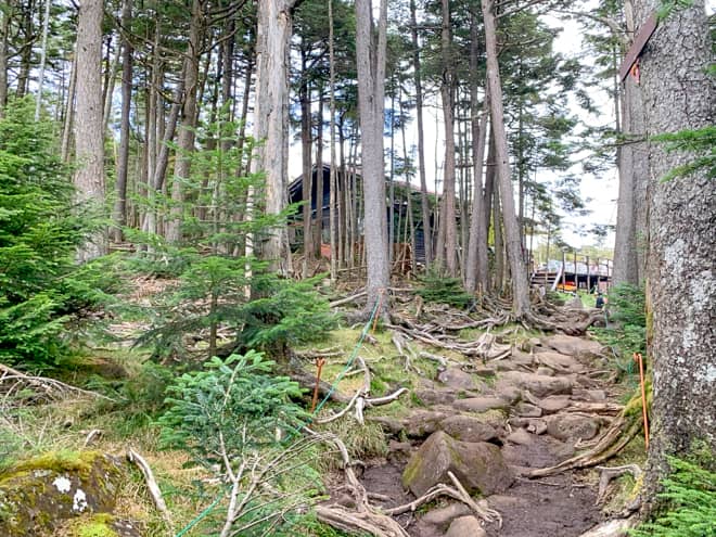 おこじょの森→高見石小屋