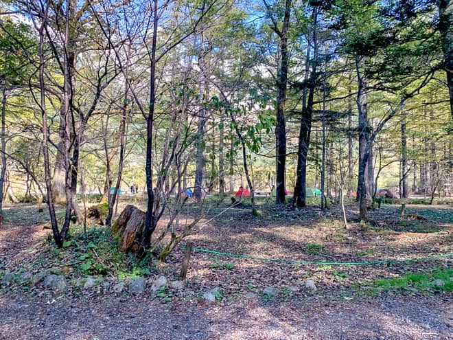 こんなことを書くと怒られそうですが