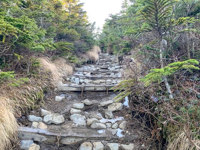 そういったバリエーション豊かな山道を進んでいくと