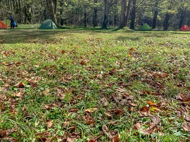 サイトの地面の特徴