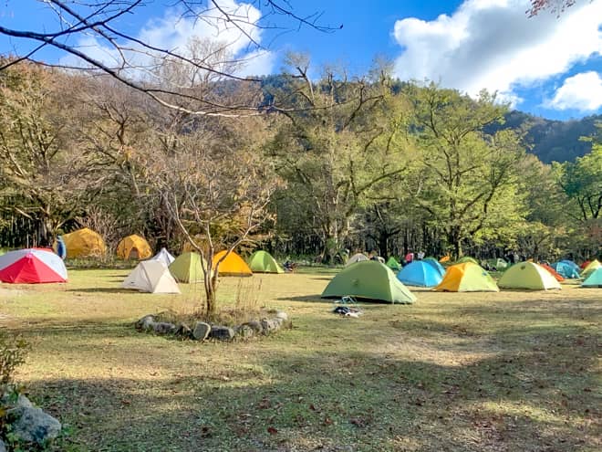 テントサイトは全面フリーサイトで設営場所は早い者勝ちです