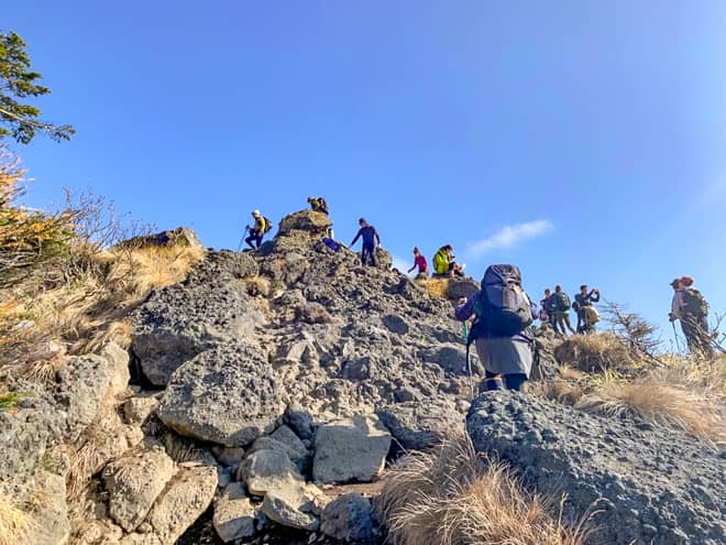 トーミの頭が見えてきました