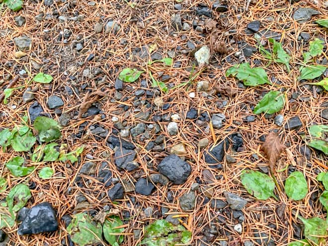 ペグの刺さり具合は？