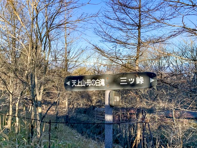 多彩なコースがある