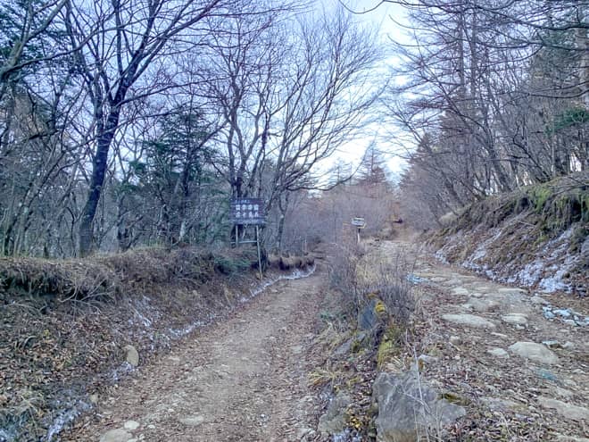 山荘の分岐に到着です
