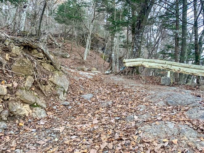 急な山道を登りきるとガードレールがある登山道に合流します