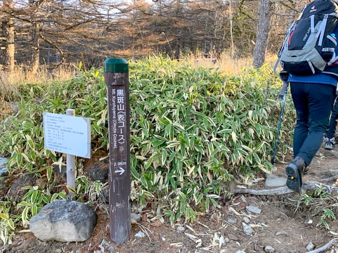 登山口からは黒斑山（表コース）と書かれた標識の方向へ向かいます
