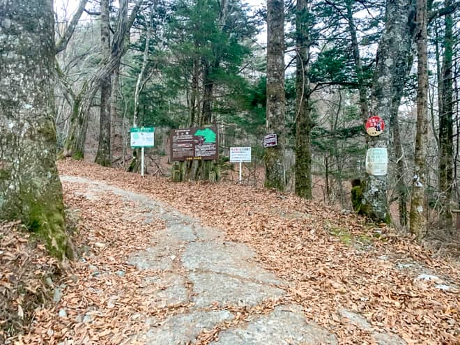 登山口は「西川新倉林道脇駐車場」を奥に進んだ場所