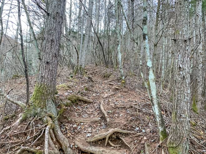 緩やかなルートより10分時間を短縮できる