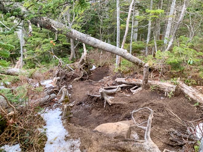 蛇骨岳を目指して進みます