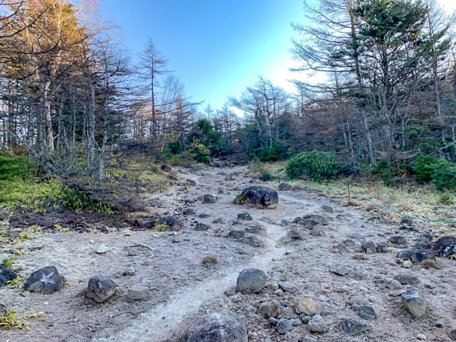 黒斑山の表コースは開けた場所が多く