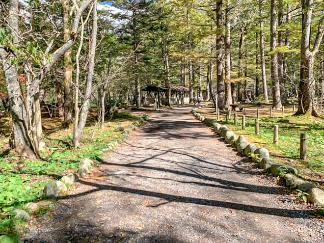 Fサイト・Gサイト