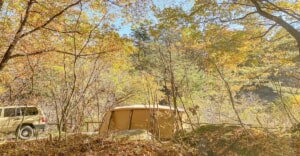 南アルプスの自然に癒される！ファミリー向けキャンプ場「Foresters Village Kobitto」を紹介