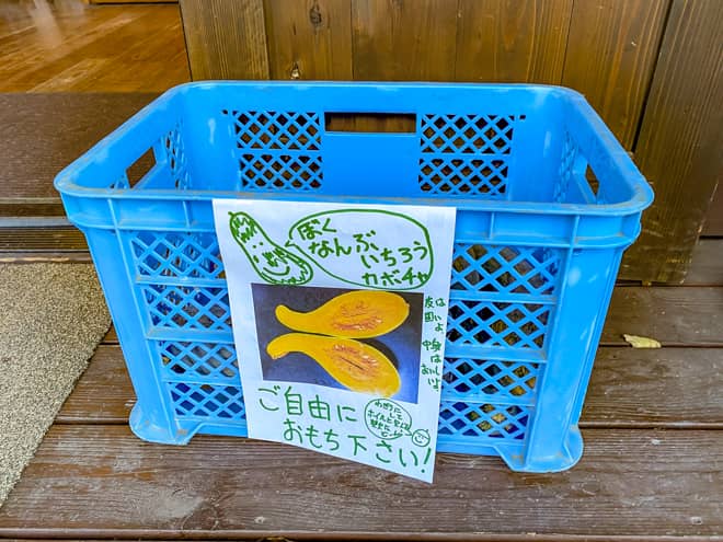 ForestersVillageKobitto_かぼちゃ2