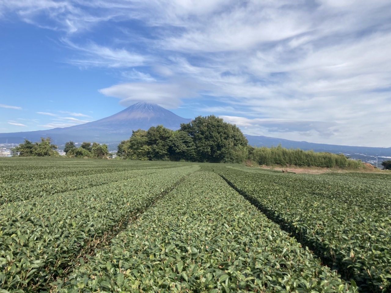 Mt. Fujiアウトドアサウナ体験_2