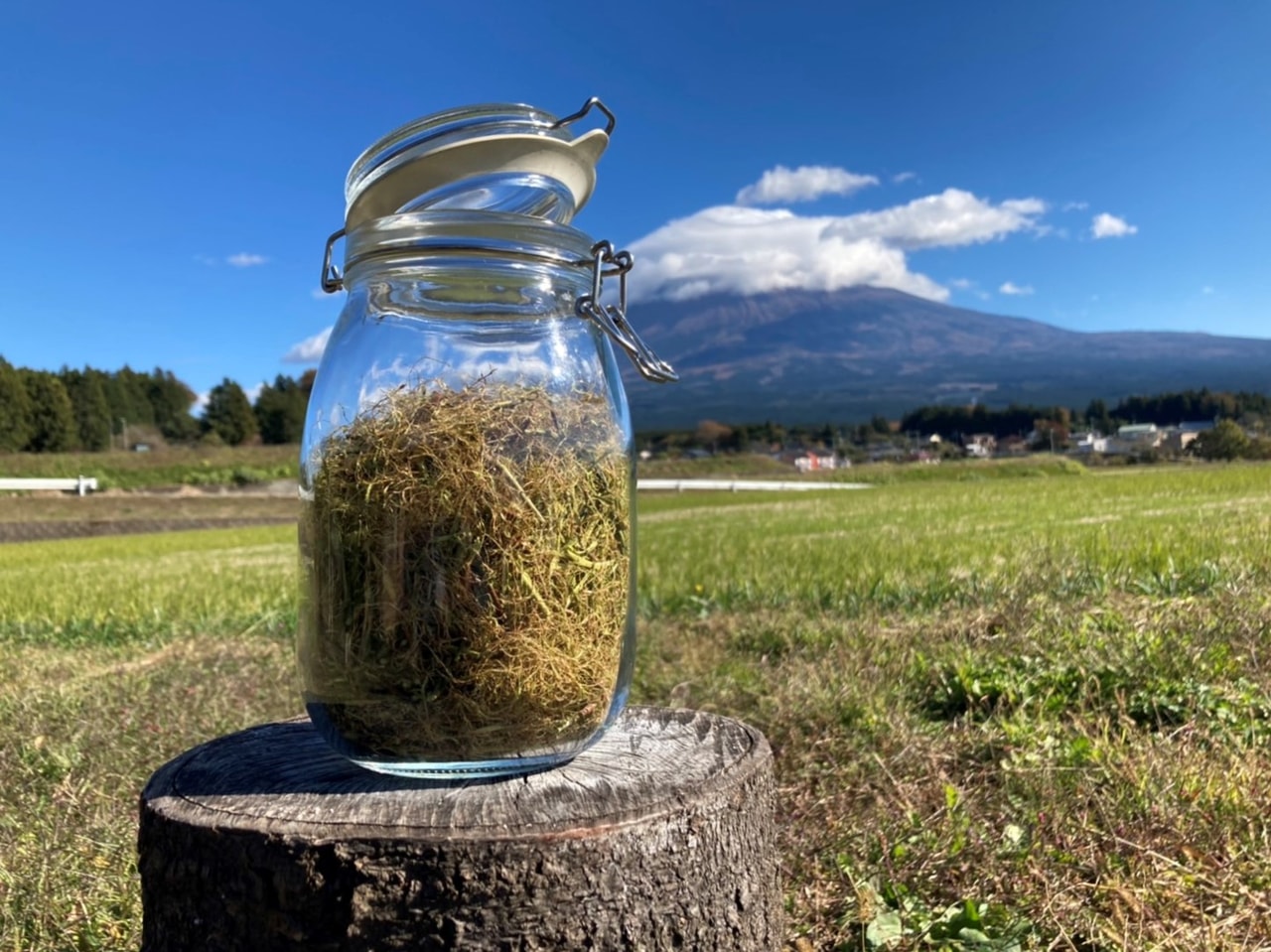 Mt. Fujiアウトドアサウナ体験_3