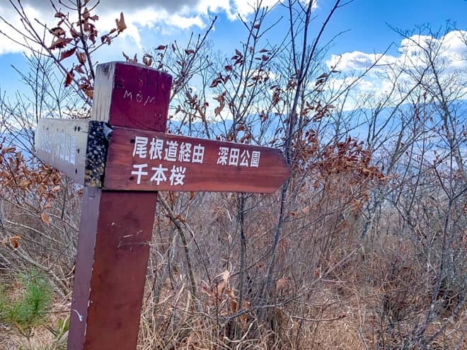 「尾根ルート」から下山する