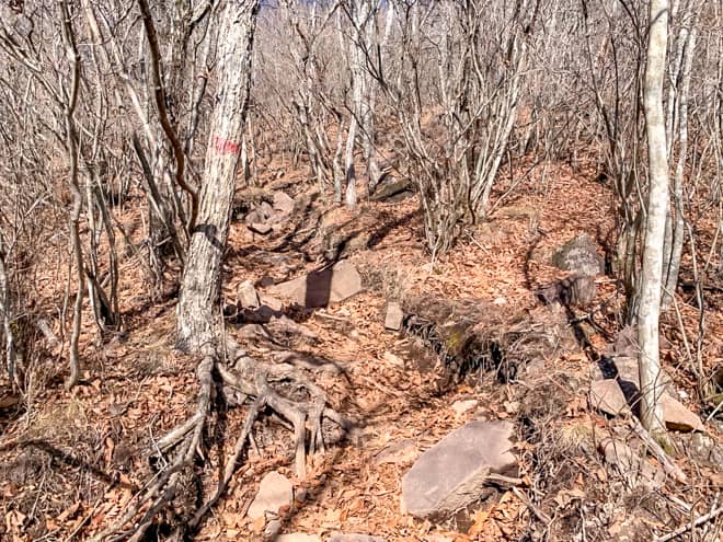 「深田久弥終焉の地」までは