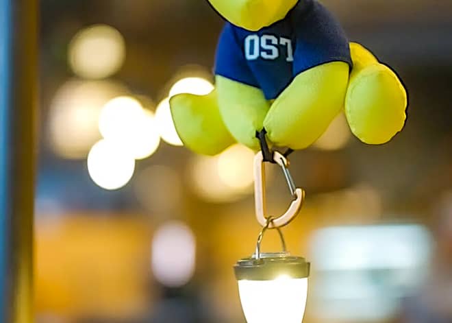 「LOST Clothing Design」の今後の展開は？