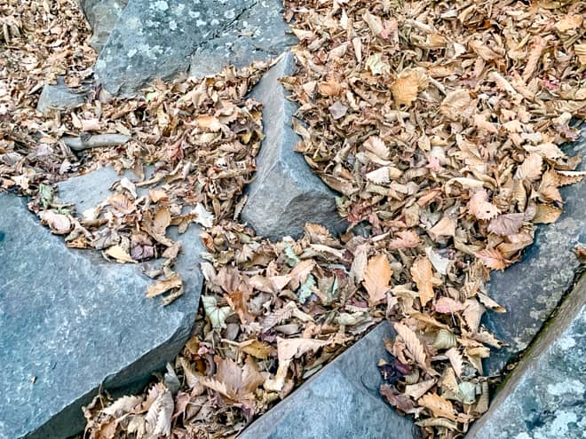 というのが、本来は岩だらけの足場の悪い登山コースなのですが