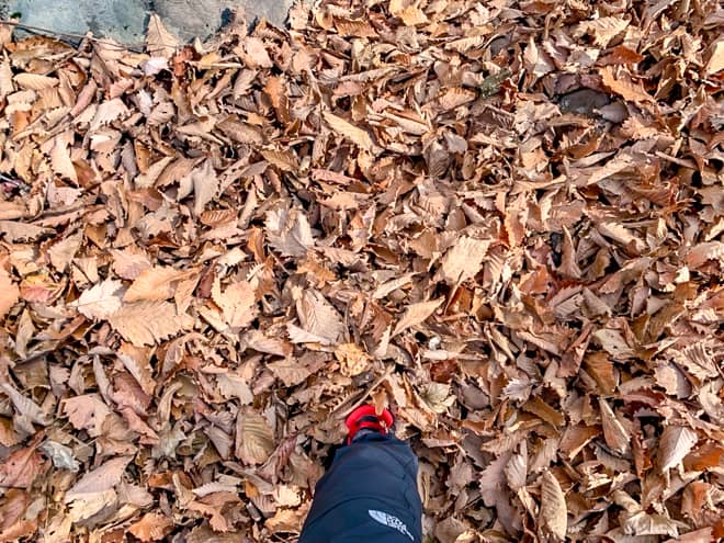 というのも、前半の岩場よりも岩が小さいので