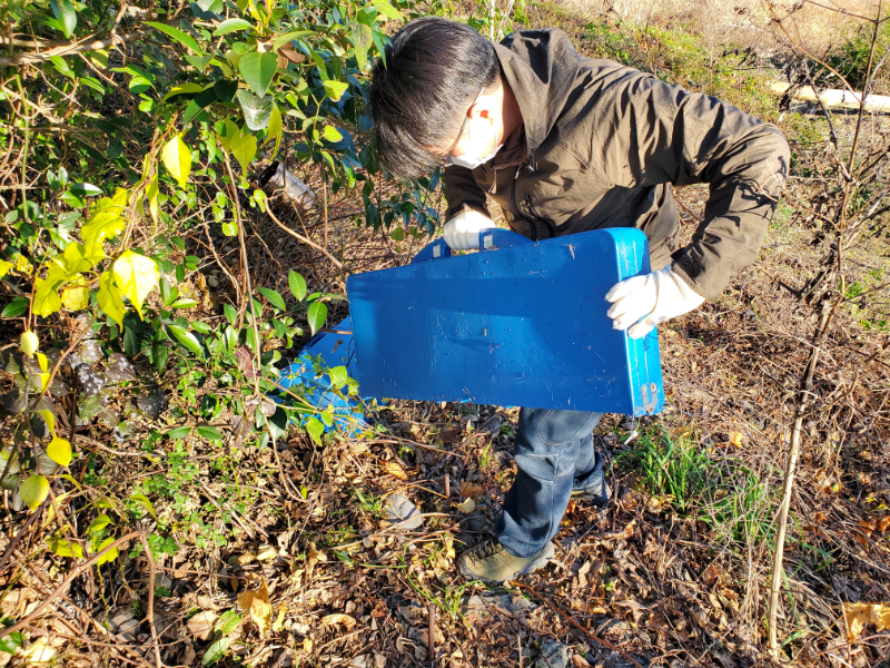 よく分からない巨大ゴミ